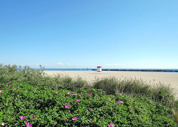 Koje 44 By Interhome * ダンプ